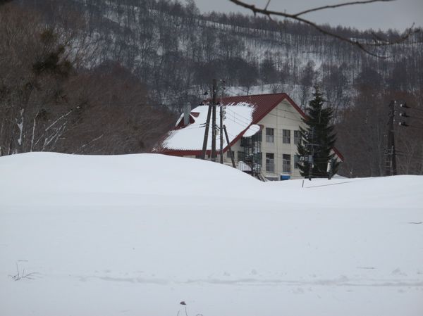 文化遺産？