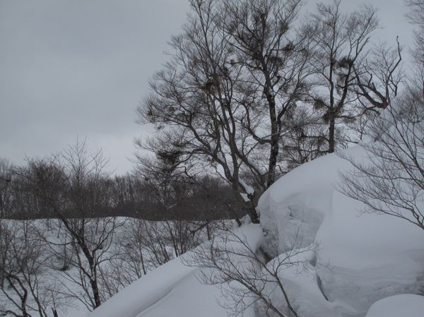 溶岩の末端