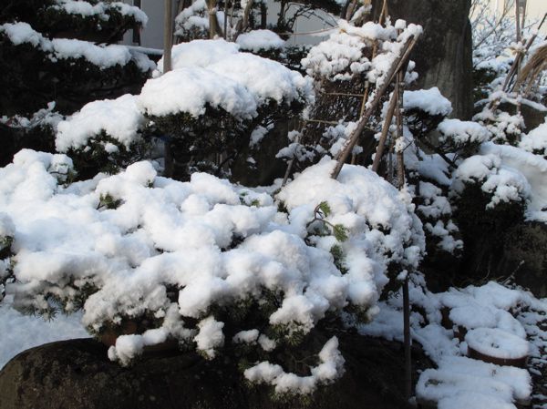 3/27　雪