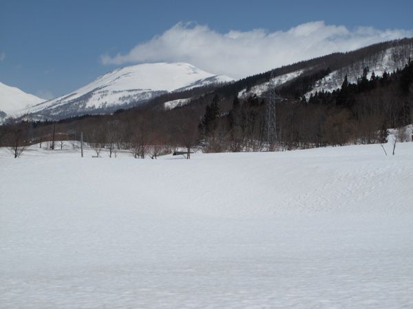 4月の弓張平