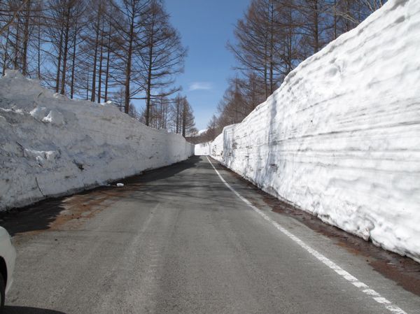 管理車道