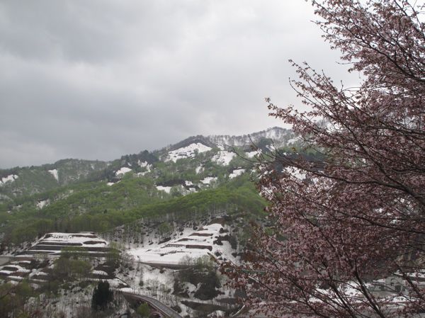 対岸の春