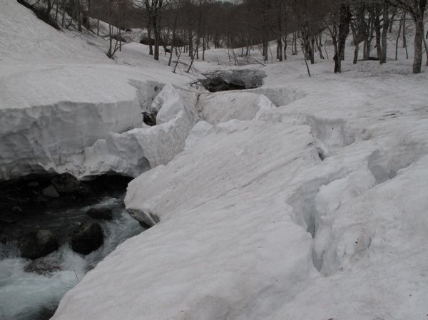 橋上流