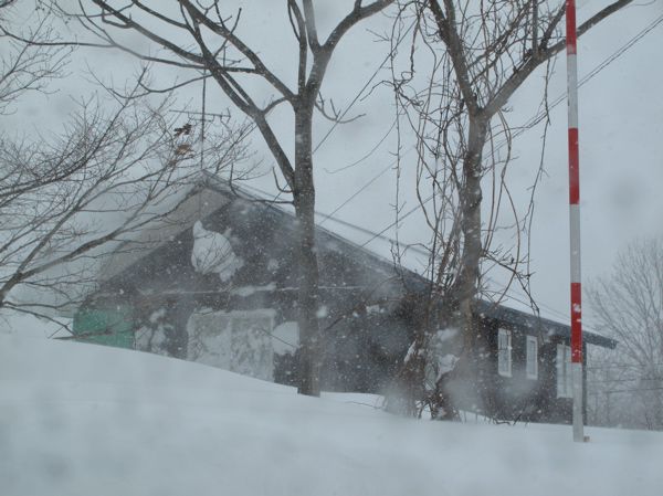 弓張平の家