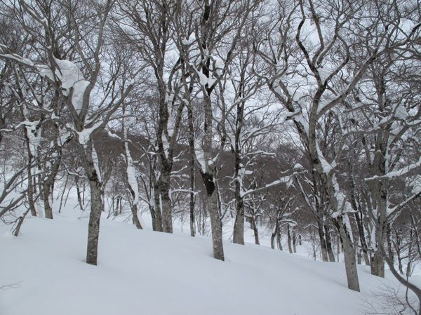 3メートルは雪の中
