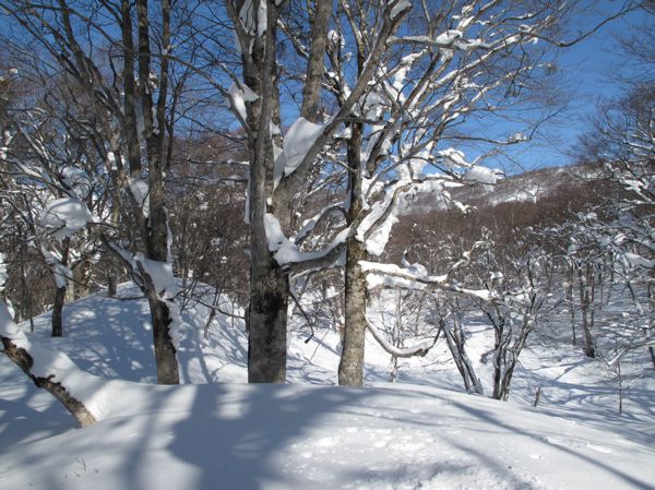 冬山