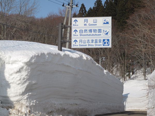 嵐の後