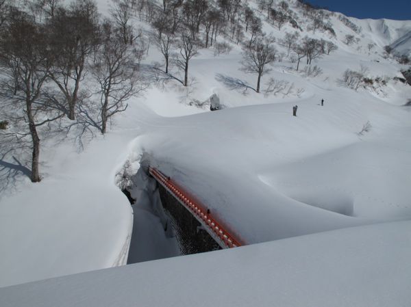 埋もれて