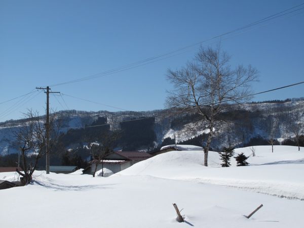 里山の魅力