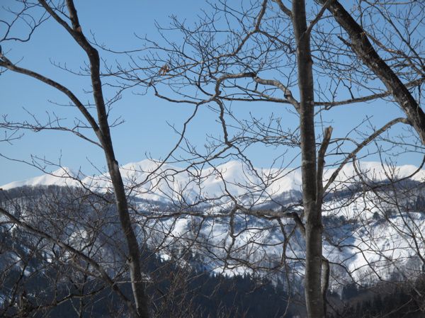朝日連峰見えてくる