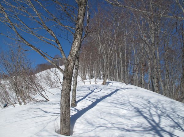 最後の尾根