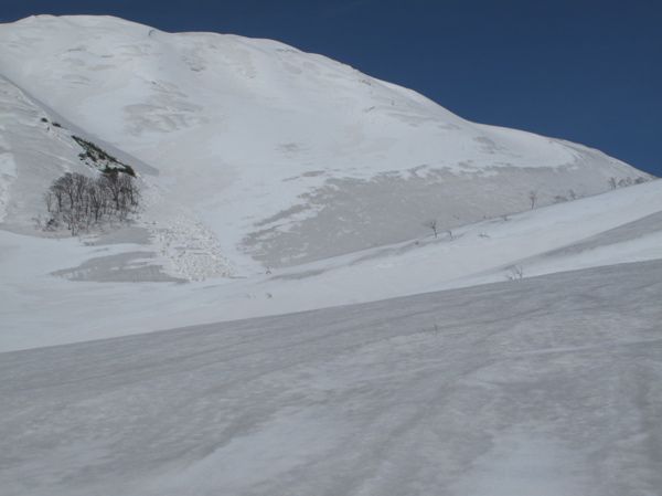 新雪溶けて
