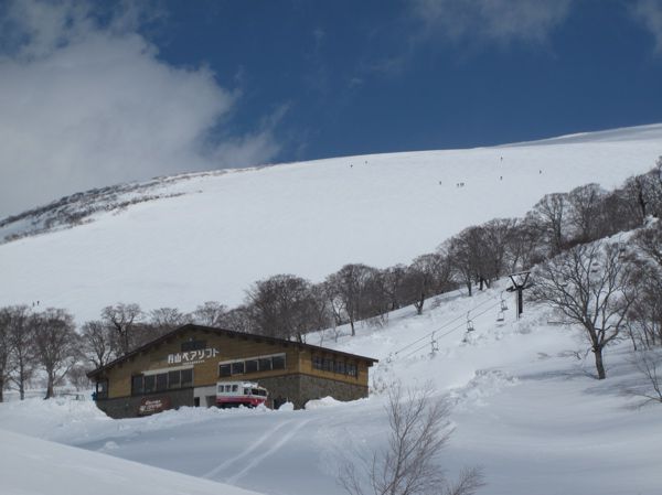 新雪を縫って