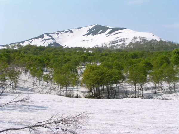 いつもの風景
