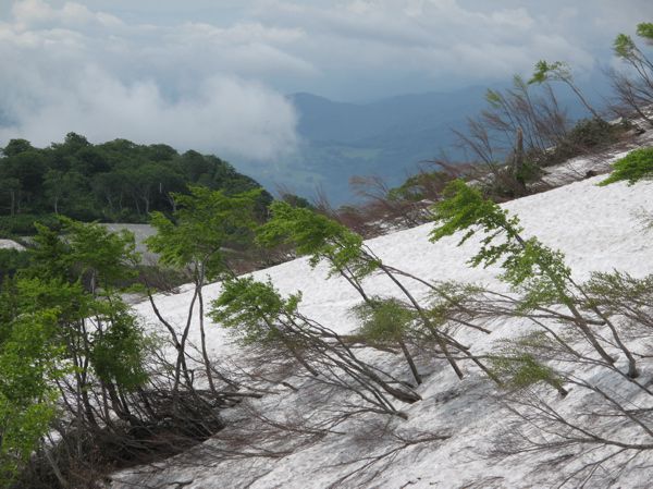 雪と気象