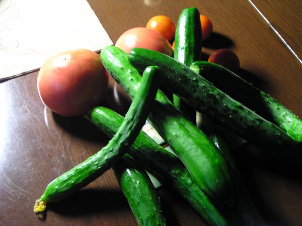 我が家の野菜