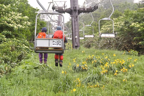 初めての事
