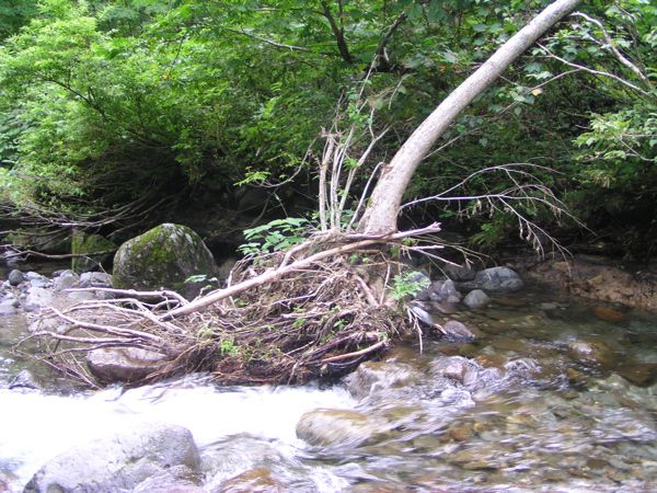 洪水の爪痕