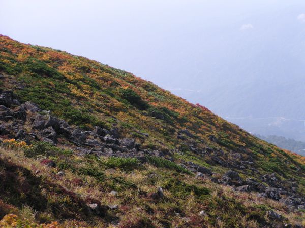 山肌　1
