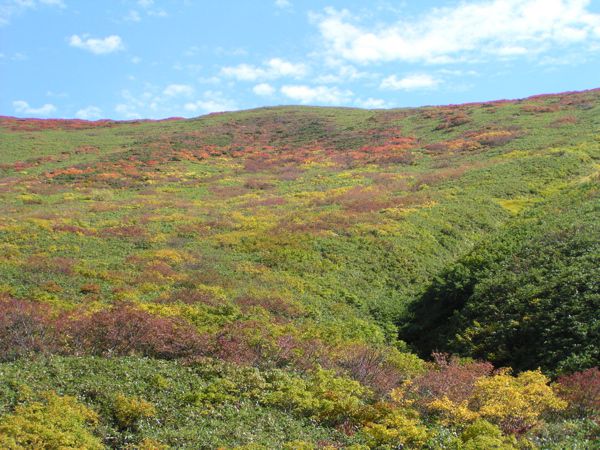 姥ヶ岳西斜面　3
