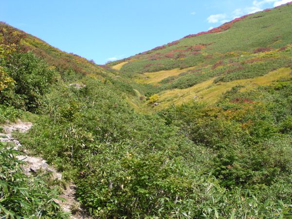 姥ヶ岳西斜面　