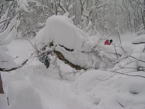 埋もれて