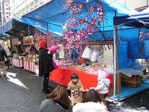 だんご木