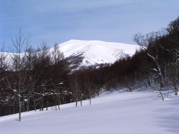 月山南斜面