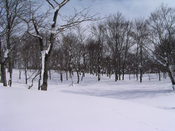 平の様子
