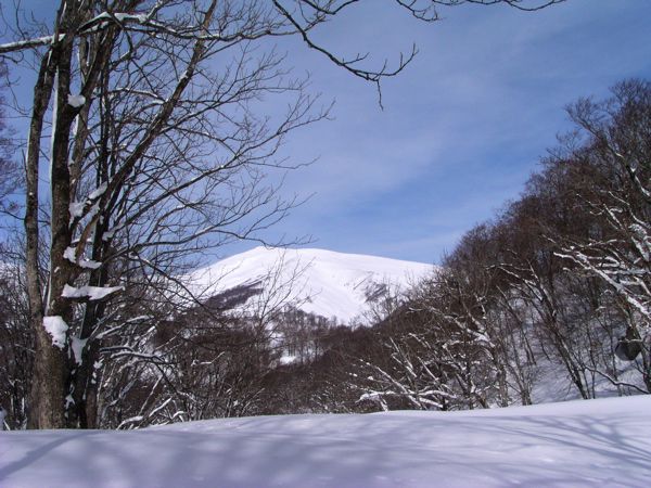 月山を仰ぐ