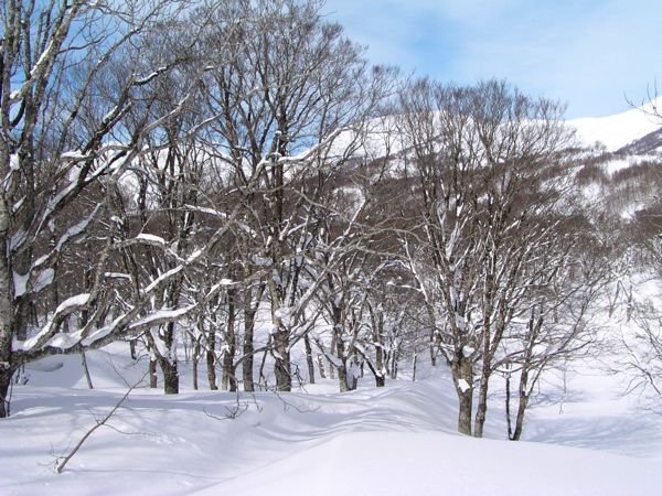 地形に応じて