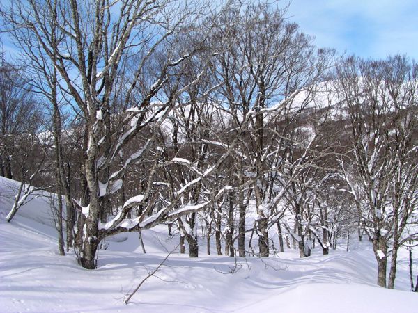 窪地に