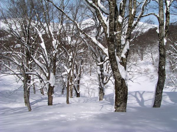 実に穏やか