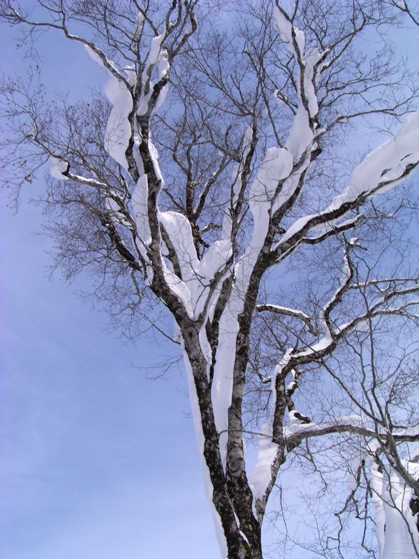 空に向かって