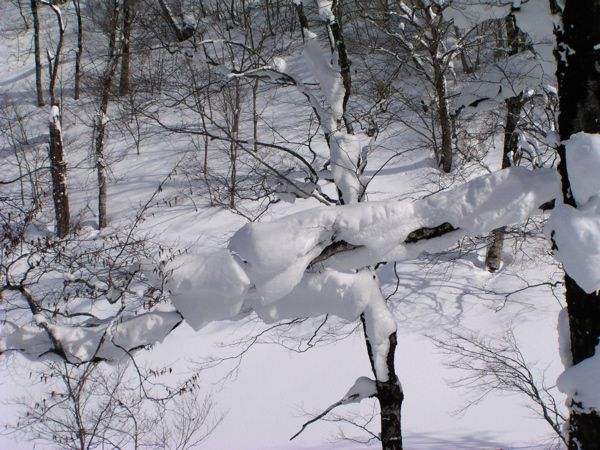 重い物を