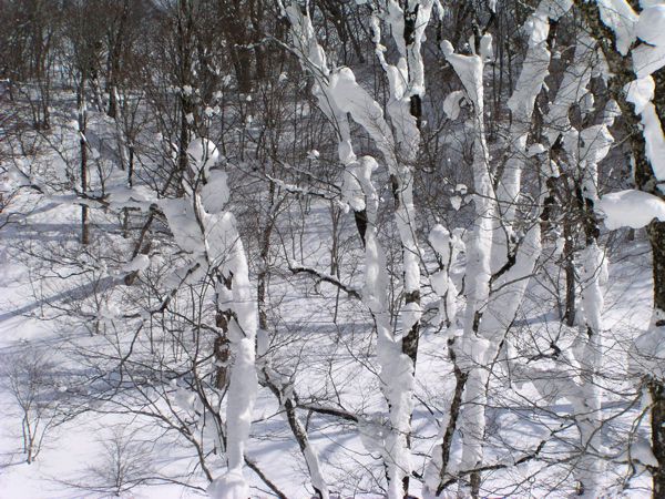 雪像