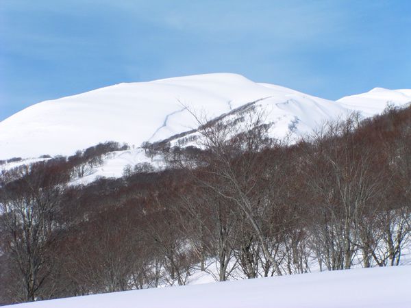 姥ヶ岳