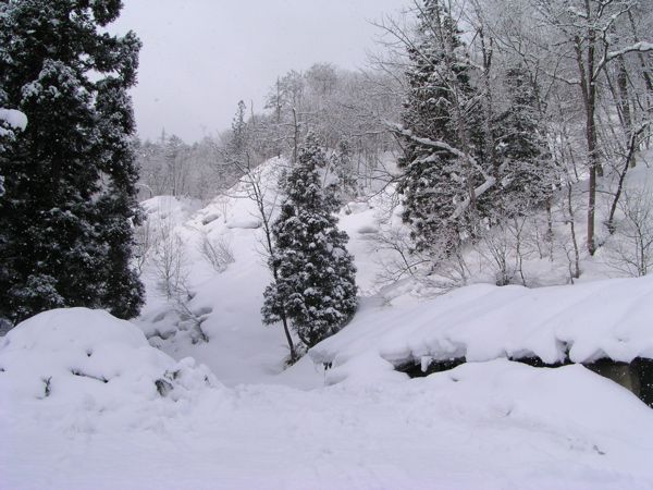 小屋周辺