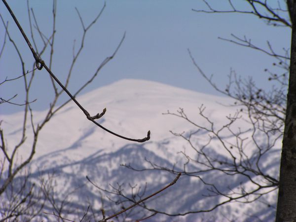 月山