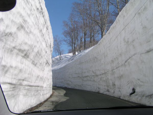 雪の回廊を縫って