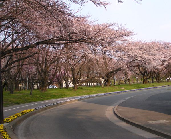 霞城公園