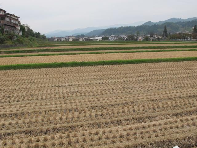 久保・下河原