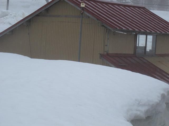 弓張平の民家