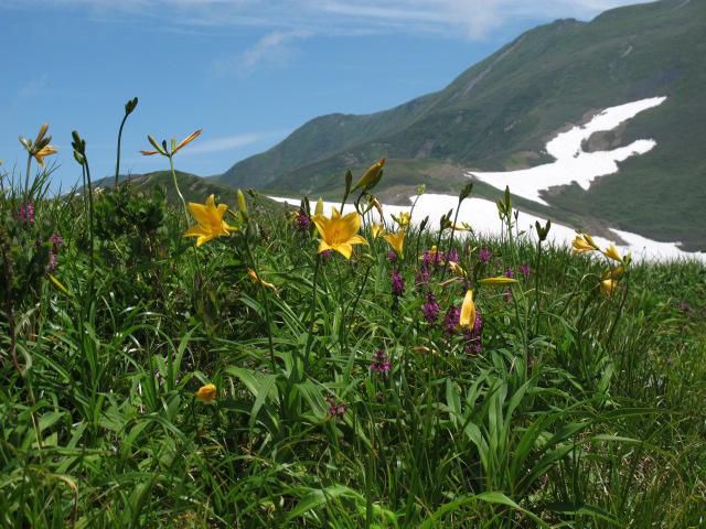 月山背景に
