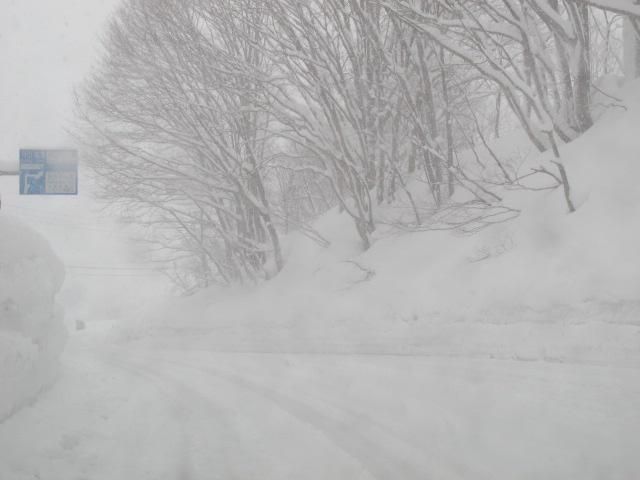 吹雪の弓張平　2/17