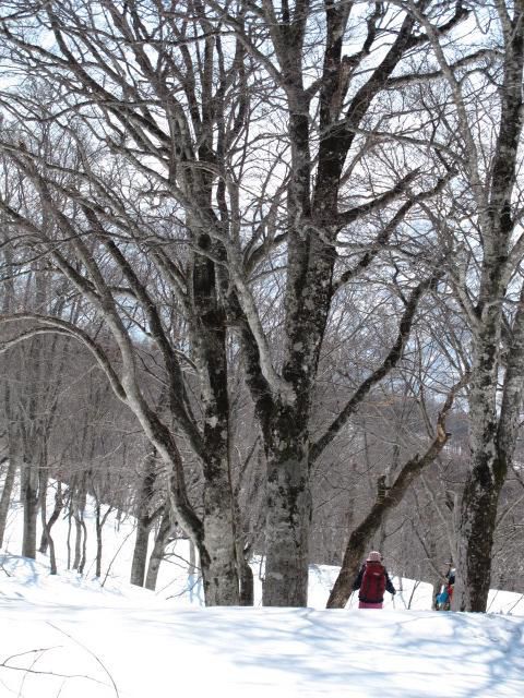 風雪に耐える