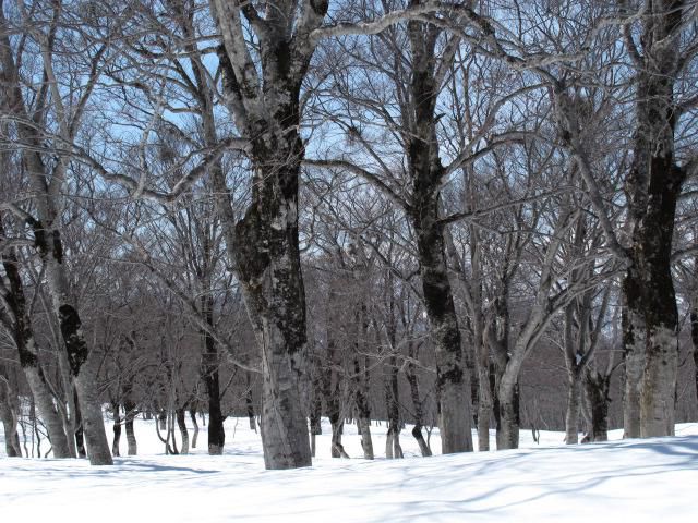 丸森山周辺　1