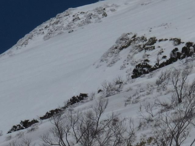 近づけば