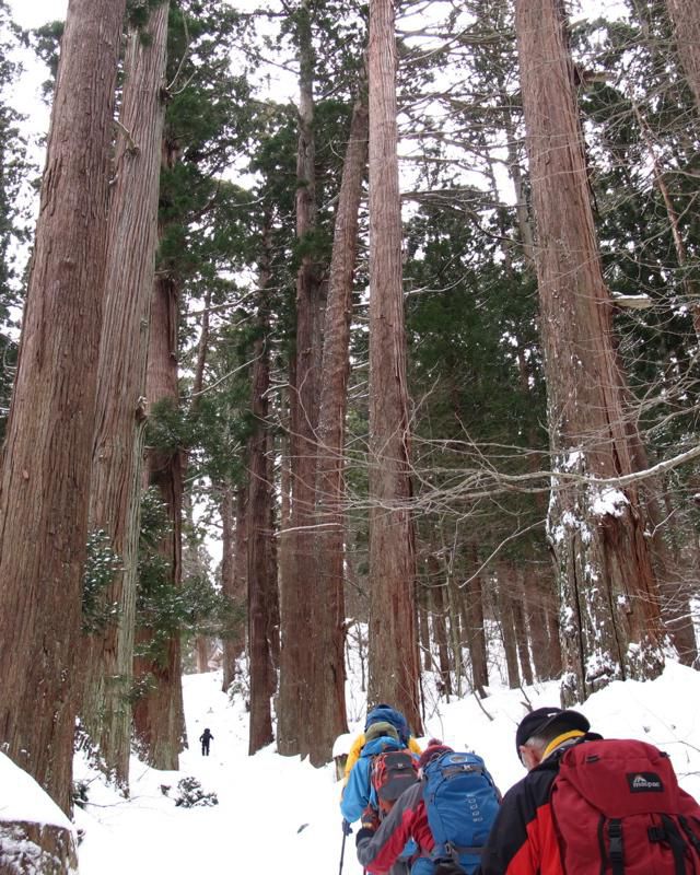 さあ、一ノ坂だ