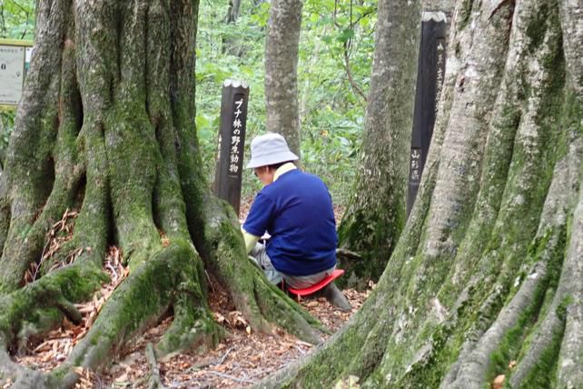 森の中で